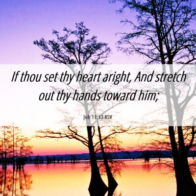 Picture 06 - Job 11:13 ASV - If thou set thy heart aright, And stretch out thy - Bible Verse Picture