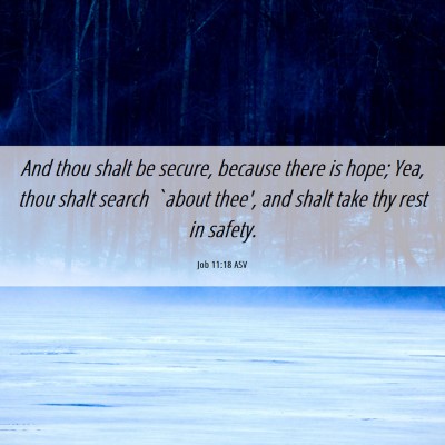 Picture 06 - Job 11:18 ASV - And thou shalt be secure, because there is hope; - Bible Verse Picture