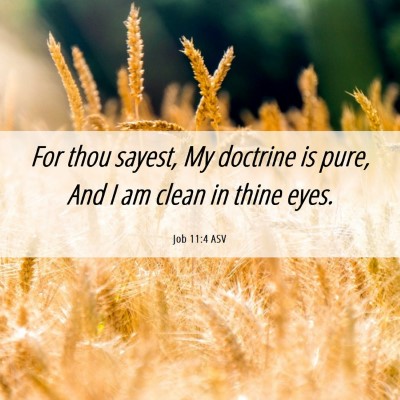 Picture 06 - Job 11:4 ASV - For thou sayest, My doctrine is pure, And I am - Bible Verse Picture