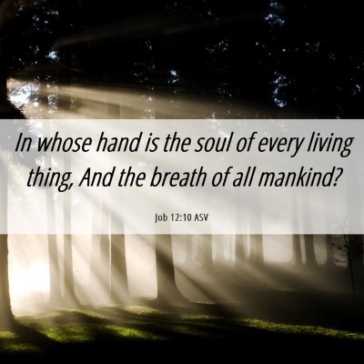 Picture 06 - Job 12:10 ASV - In whose hand is the soul of every living thing, - Bible Verse Picture