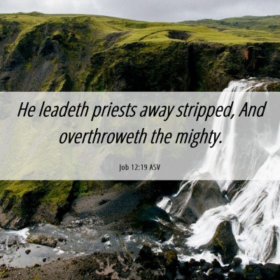 Picture 06 - Job 12:19 ASV - He leadeth priests away stripped, And - Bible Verse Picture