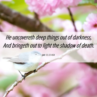 Picture 06 - Job 12:22 ASV - He uncovereth deep things out of darkness, And - Bible Verse Picture