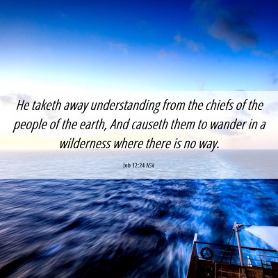Picture 06 - Job 12:24 ASV - He taketh away understanding from the chiefs of - Bible Verse Picture