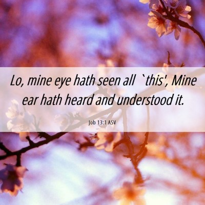 Picture 06 - Job 13:1 ASV - Lo, mine eye hath seen all `this', Mine ear hath - Bible Verse Picture