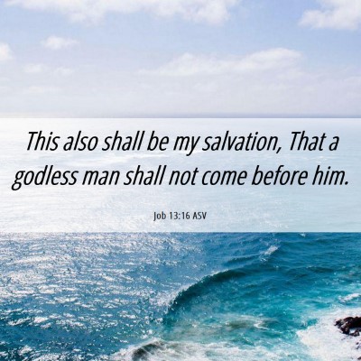 Picture 06 - Job 13:16 ASV - This also shall be my salvation, That a godless - Bible Verse Picture