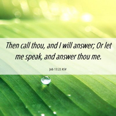 Picture 06 - Job 13:22 ASV - Then call thou, and I will answer; Or let me - Bible Verse Picture