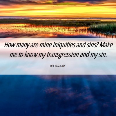Picture 06 - Job 13:23 ASV - How many are mine iniquities and sins? Make me to - Bible Verse Picture
