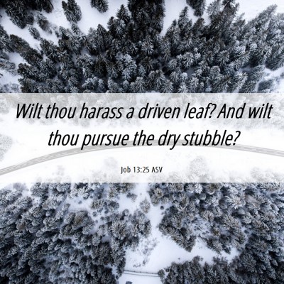 Picture 06 - Job 13:25 ASV - Wilt thou harass a driven leaf? And wilt thou - Bible Verse Picture