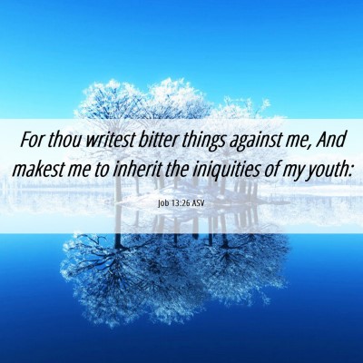 Picture 06 - Job 13:26 ASV - For thou writest bitter things against me, And - Bible Verse Picture