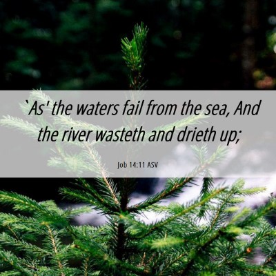 Picture 06 - Job 14:11 ASV - `As' the waters fail from the sea, And the river - Bible Verse Picture