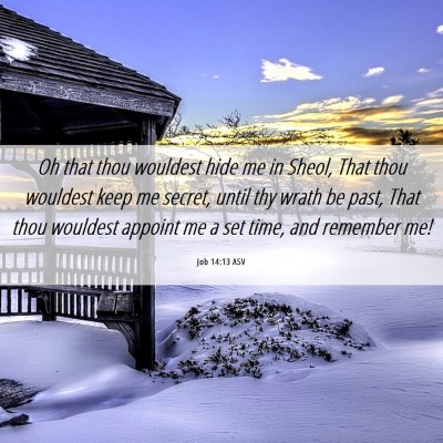 Picture 06 - Job 14:13 ASV - Oh that thou wouldest hide me in Sheol, That thou - Bible Verse Picture