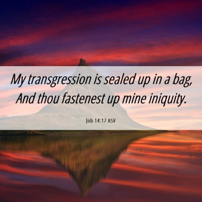 Picture 06 - Job 14:17 ASV - My transgression is sealed up in a bag, And thou - Bible Verse Picture