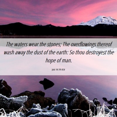 Picture 06 - Job 14:19 ASV - The waters wear the stones; The overflowings - Bible Verse Picture