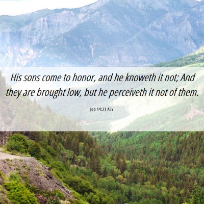 Picture 06 - Job 14:21 ASV - His sons come to honor, and he knoweth it not; - Bible Verse Picture