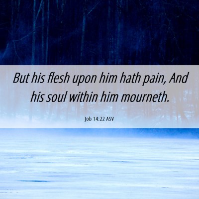 Picture 06 - Job 14:22 ASV - But his flesh upon him hath pain, And his soul - Bible Verse Picture