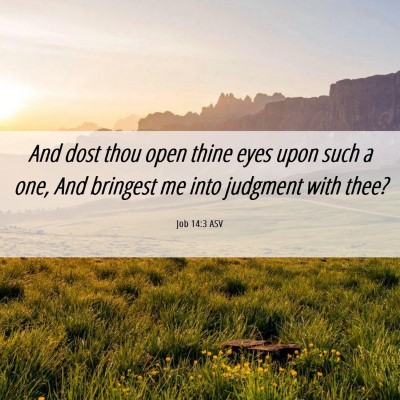 Picture 06 - Job 14:3 ASV - And dost thou open thine eyes upon such a one, - Bible Verse Picture