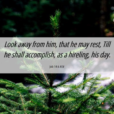 Picture 06 - Job 14:6 ASV - Look away from him, that he may rest, Till he - Bible Verse Picture
