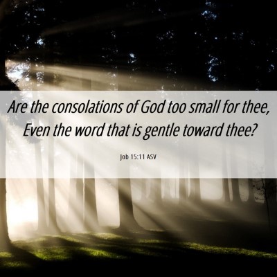 Picture 06 - Job 15:11 ASV - Are the consolations of God too small for thee, - Bible Verse Picture