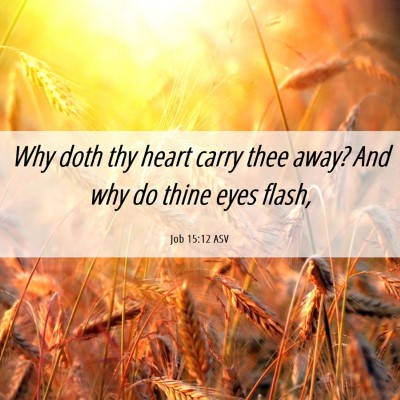 Picture 06 - Job 15:12 ASV - Why doth thy heart carry thee away? And why do - Bible Verse Picture