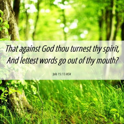 Picture 06 - Job 15:13 ASV - That against God thou turnest thy spirit, And - Bible Verse Picture