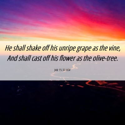 Picture 06 - Job 15:33 ASV - He shall shake off his unripe grape as the vine, - Bible Verse Picture