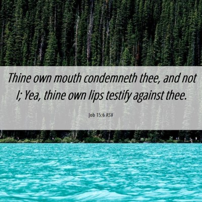 Picture 06 - Job 15:6 ASV - Thine own mouth condemneth thee, and not I; Yea, - Bible Verse Picture