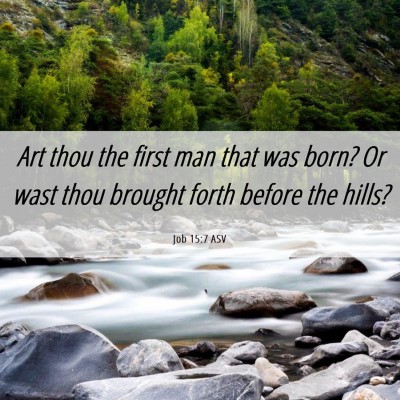 Picture 06 - Job 15:7 ASV - Art thou the first man that was born? Or wast - Bible Verse Picture