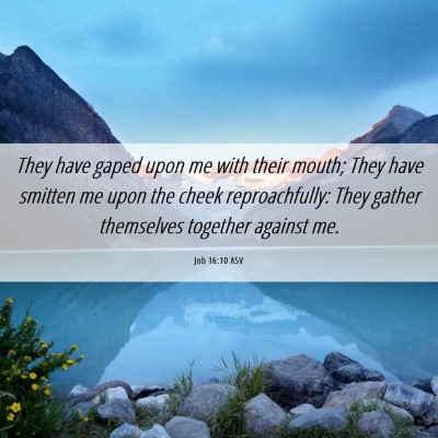 Picture 06 - Job 16:10 ASV - They have gaped upon me with their mouth; They - Bible Verse Picture