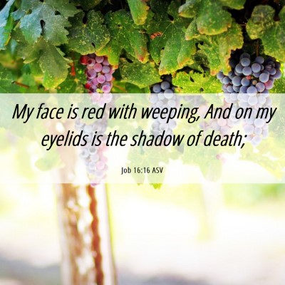 Picture 06 - Job 16:16 ASV - My face is red with weeping, And on my eyelids is - Bible Verse Picture