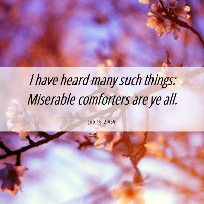 Picture 06 - Job 16:2 ASV - I have heard many such things: Miserable - Bible Verse Picture
