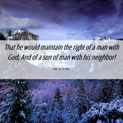 Picture 06 - Job 16:21 ASV - That he would maintain the right of a man with - Bible Verse Picture