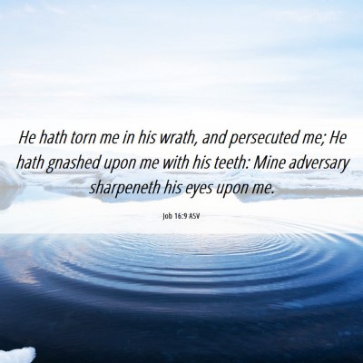 Picture 06 - Job 16:9 ASV - He hath torn me in his wrath, and persecuted me; - Bible Verse Picture