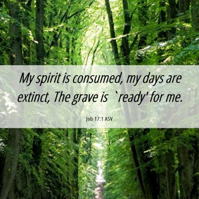 Picture 06 - Job 17:1 ASV - My spirit is consumed, my days are extinct, The - Bible Verse Picture