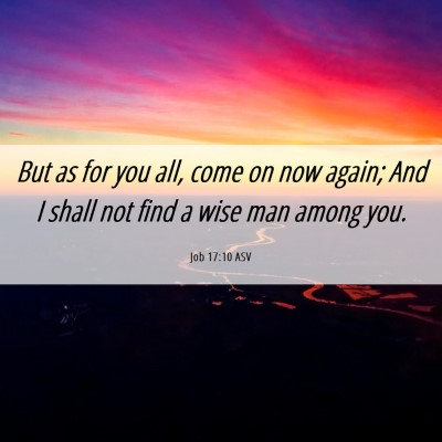 Picture 06 - Job 17:10 ASV - But as for you all, come on now again; And I - Bible Verse Picture