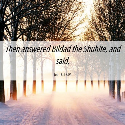 Picture 06 - Job 18:1 ASV - Then answered Bildad the Shuhite, and - Bible Verse Picture
