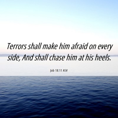 Picture 06 - Job 18:11 ASV - Terrors shall make him afraid on every side, And - Bible Verse Picture