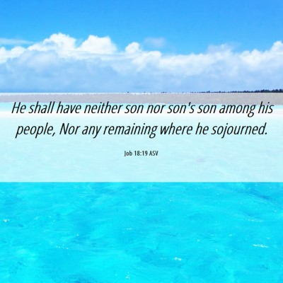 Picture 06 - Job 18:19 ASV - He shall have neither son nor son's son among his - Bible Verse Picture