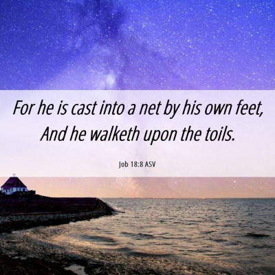 Picture 06 - Job 18:8 ASV - For he is cast into a net by his own feet, And he - Bible Verse Picture