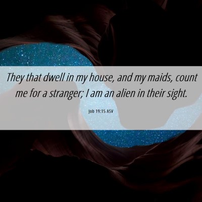 Picture 06 - Job 19:15 ASV - They that dwell in my house, and my maids, count - Bible Verse Picture