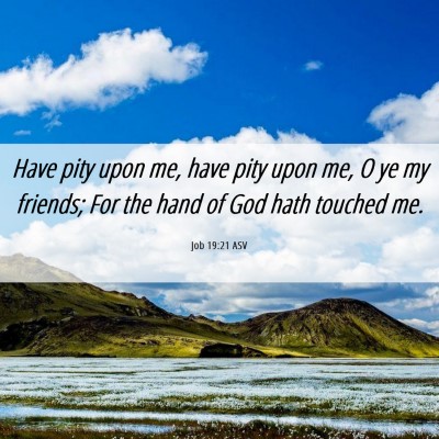 Picture 06 - Job 19:21 ASV - Have pity upon me, have pity upon me, O ye my - Bible Verse Picture