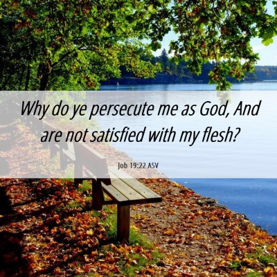 Picture 06 - Job 19:22 ASV - Why do ye persecute me as God, And are not - Bible Verse Picture