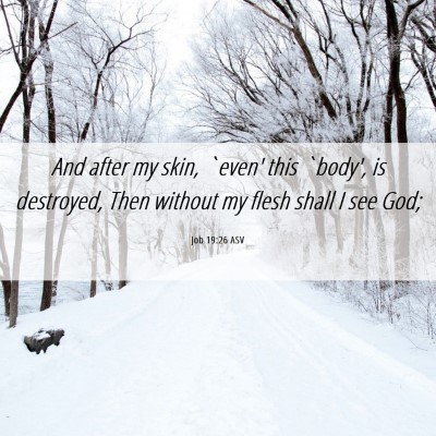 Picture 06 - Job 19:26 ASV - And after my skin, `even' this `body', is - Bible Verse Picture