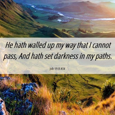 Picture 06 - Job 19:8 ASV - He hath walled up my way that I cannot pass, And - Bible Verse Picture