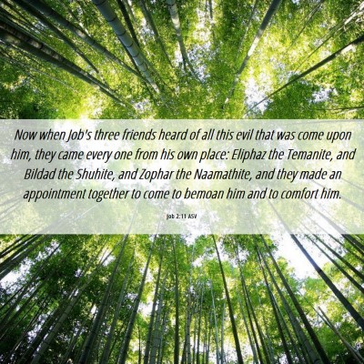 Picture 06 - Job 2:11 ASV - Now when Job's three friends heard of all this - Bible Verse Picture