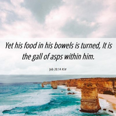 Picture 06 - Job 20:14 ASV - Yet his food in his bowels is turned, It is the - Bible Verse Picture