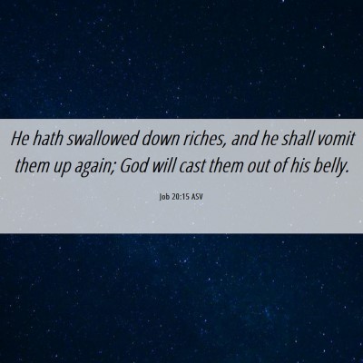 Picture 06 - Job 20:15 ASV - He hath swallowed down riches, and he shall vomit - Bible Verse Picture