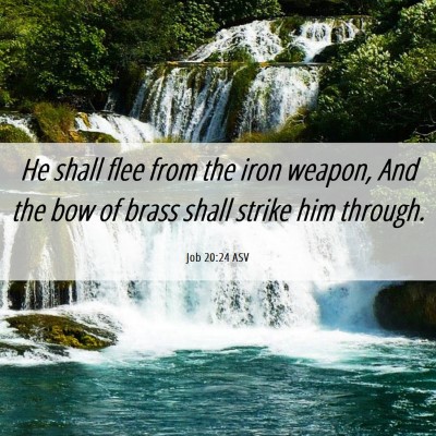 Picture 06 - Job 20:24 ASV - He shall flee from the iron weapon, And the bow - Bible Verse Picture