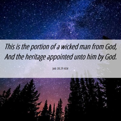 Picture 06 - Job 20:29 ASV - This is the portion of a wicked man from God, And - Bible Verse Picture