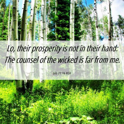 Picture 06 - Job 21:16 ASV - Lo, their prosperity is not in their hand: The - Bible Verse Picture