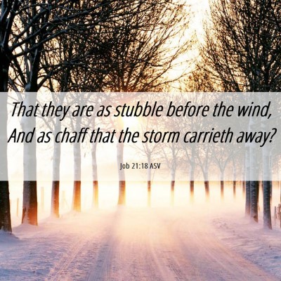 Picture 06 - Job 21:18 ASV - That they are as stubble before the wind, And as - Bible Verse Picture
